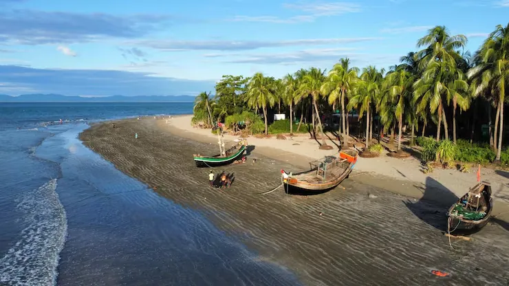 The beach curves past the palm groves