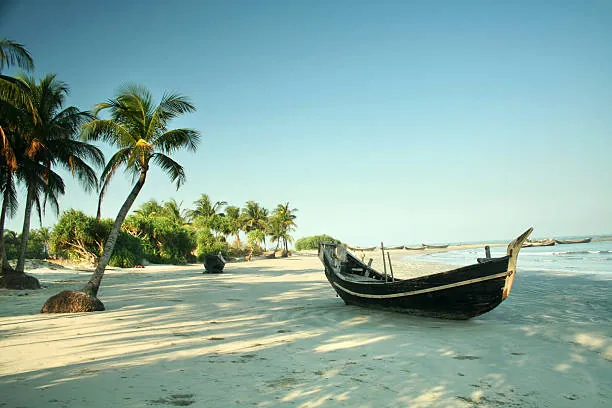 Shade under the coconut palms